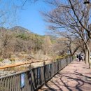 with dog(위드독) 이미지