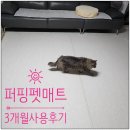 펫밀리 | [퍼핑 펫매트 3개월 사용후기] 퍼핑 펫밀리로 행복했던 3개월^^