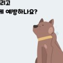 도담도담동물병원 이미지
