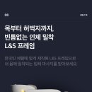 멜티스 이미지