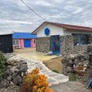 핑크로즈553 이미지