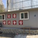 예주농장 이미지