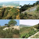 성흥로97번길 이미지