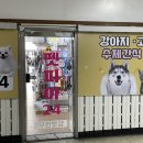 펫피아24 네이버블로그
