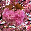 동서3어린이공원 이미지