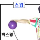 김정보 이미지