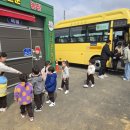 배재대학교부속유치원 이미지