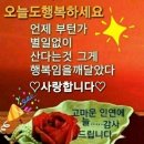 행복한하루 이미지