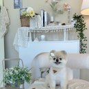 카페 인 코너 이미지