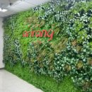 국제아리랑식당 이미지