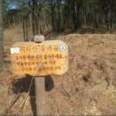 하동중앙중학교 | 하동 분지봉~구재봉