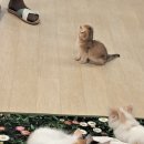 집사의하루 혜화점 이미지