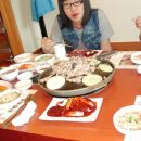 신토오리 이미지
