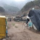 만세동농장 네이버블로그