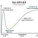 20대 초반 때 우매함의 봉우리 찍고 지금 절망의 계곡인데 괴롭다 이미지