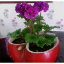 한울식당 이미지