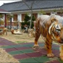 달마지마을 이미지