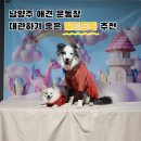 덕소동물병원 | 남양주 애견 운동장 대관하기 좋은 필드포독 추천