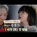 TVN 토일드라마 ＜우리들의 블루스＞ 이미지