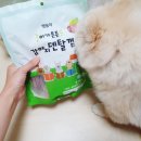 이가소프트 이미지