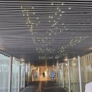 시티프라자 | 도심 가성비 호텔 노천탕의 반전! 난바 대신 위치·가격·스파 다 잡은 '시티 플라자오사카' 솔직후기