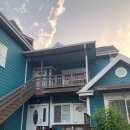 아델리아 이미지