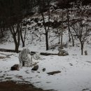 봉학골산림욕장 이미지