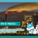 IPA현대
