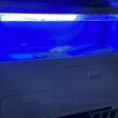 군포식당36 이미지