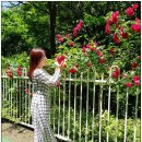 리스테이트 이미지