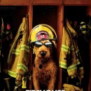파이어하우스 독 (Firehouse Dog, 2007) 이미지