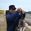 어심바다낚시터 이미지