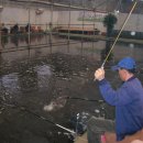 역돔낚시터 이미지