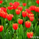 욕심 관련 예화 33편 모음 이미지