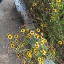 소야농장 이미지