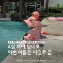 다다헤어포인트 | 리미떼두두 26 Summer 수영복 후기 | 4살 차이 남매룩 래쉬가드 추천