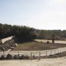 중문동-21 이미지