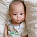 꼬몽베베 네이버블로그