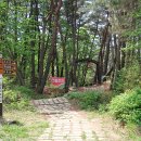 대율리 입구 주차장 이미지