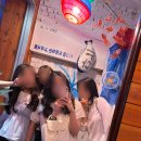 (주)카디널 | [카디널레드] 20대 30대 여자 추천가방, 카디널레드...후기 - 카켓팅, 3달 실사용후기, 착샷, 하우아...