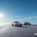 다인 카 모터스 이미지