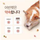 광주 강아지분양 고양이분양 어반펫 광주본점 이미지