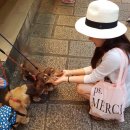 에코피에스 이미지