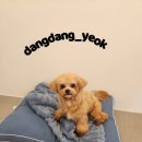 호두미용실