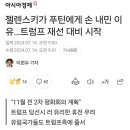 푸틴에게 손 내민 젤렌스키…트럼프 재선 대비 시작 이미지