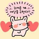 귀여운 게 세상을 구한다(⸝⸝•ᴗ•⸝⸝)