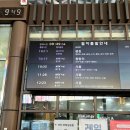 묵호 | 동해산타열차 강릉에서 묵호 후기｜바다 보이는 좌석은 왼쪽