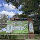 유동물원 이미지