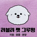 러블리펫그루밍 이미지