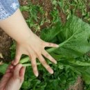 현옥농장 이미지